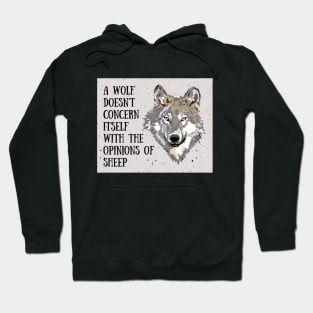 A wolf doesn't concern itself with the opinions of sheep Hoodie